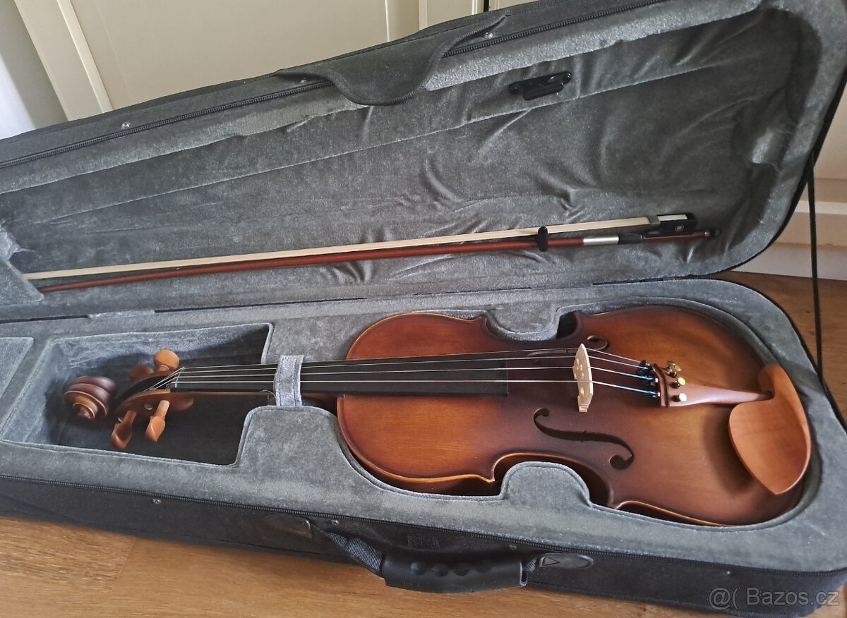 Viola
