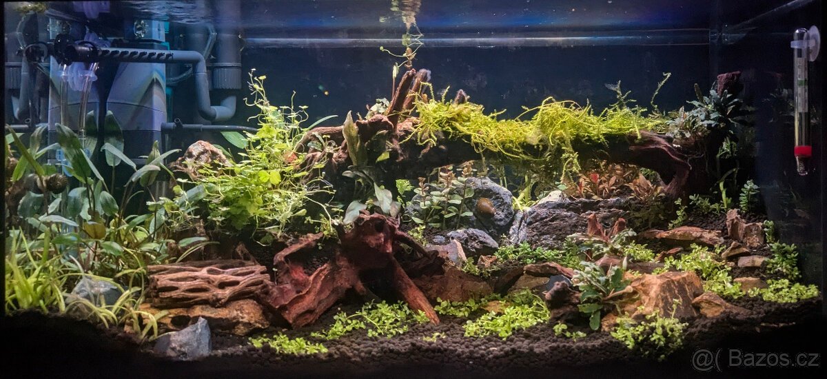 Akvárium 60x30x30 - Aquascaping/Krevetkarium highTech