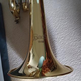 Trubka Vincent Bach TR450
