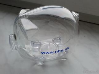 pokladnička www.nbs.sk