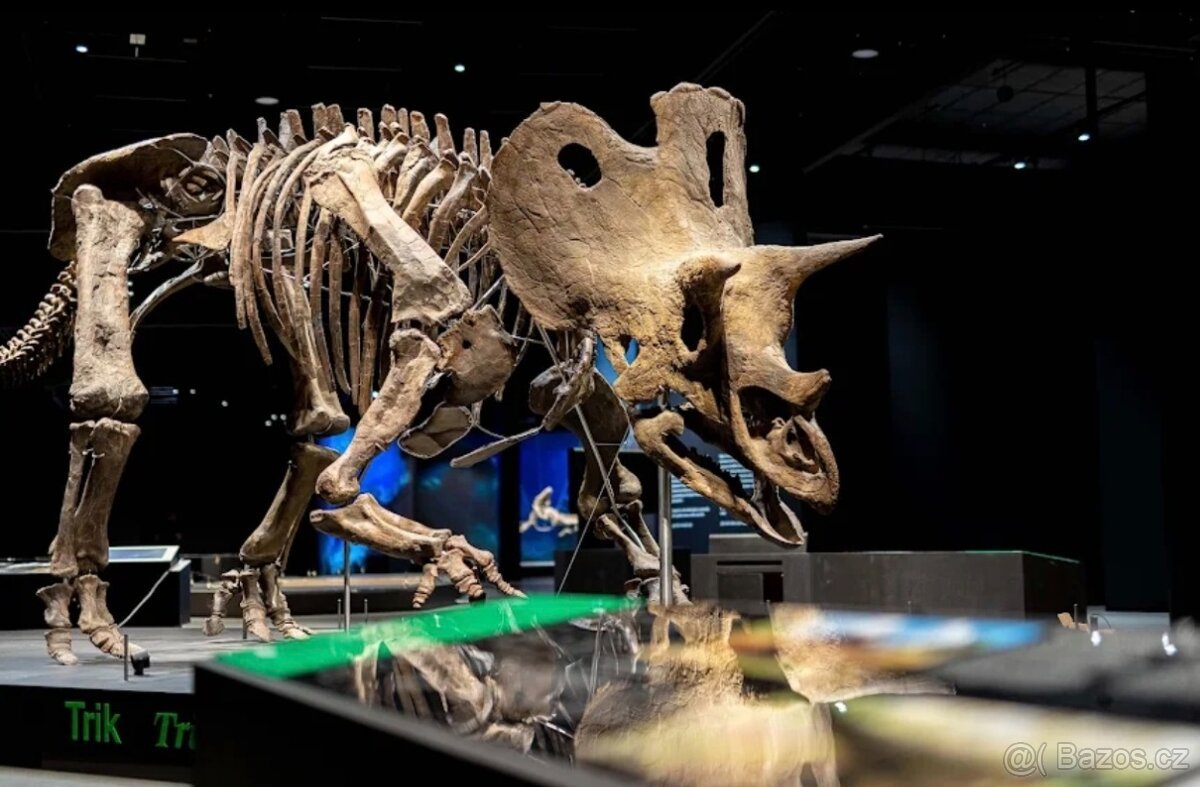Vstupenka dinosauri muzem praha