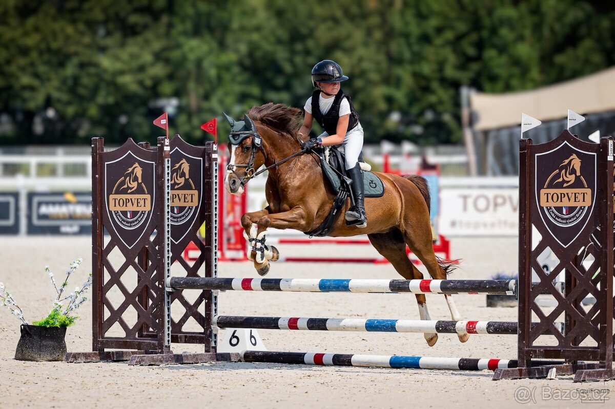 Sportovní pony