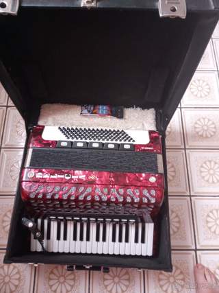 Harmonika Delicia