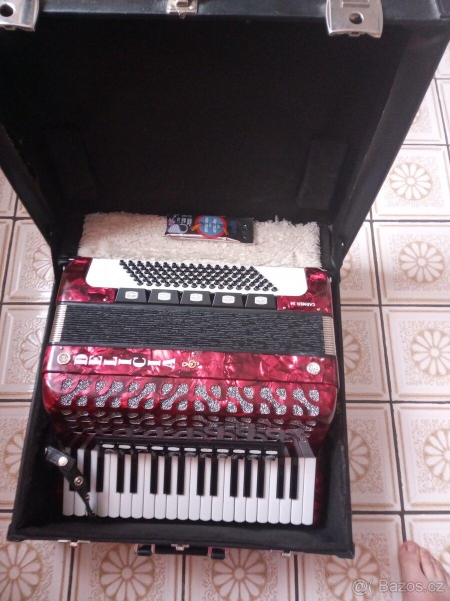 Harmonika Delicia