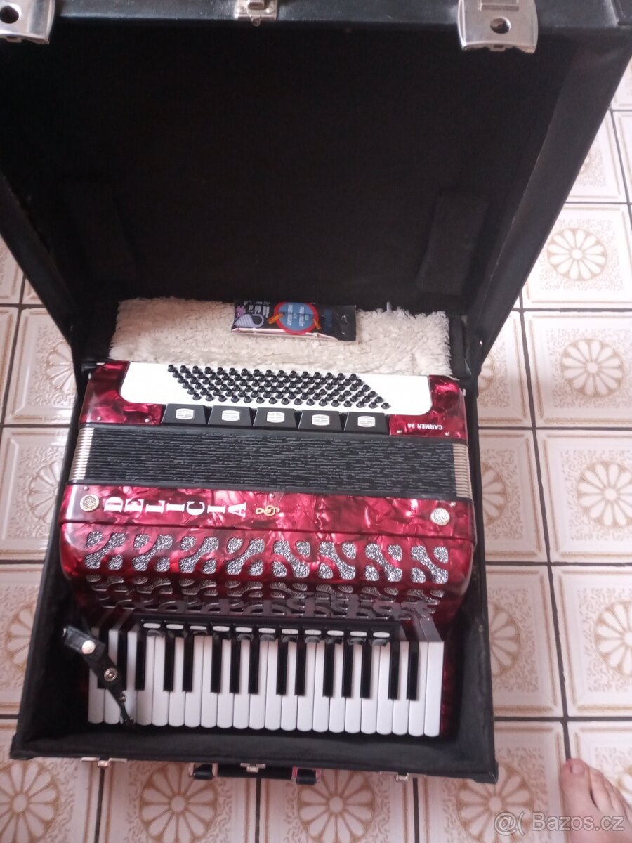 Harmonika Delicia