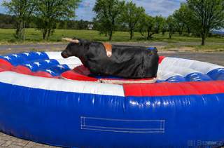 Rodeo býk