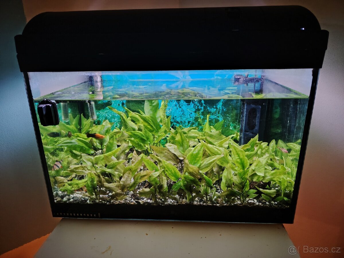 Akvárium 80 l komplet