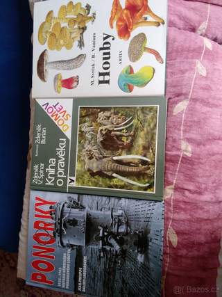 Knihy