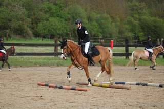 Sportovní pony B