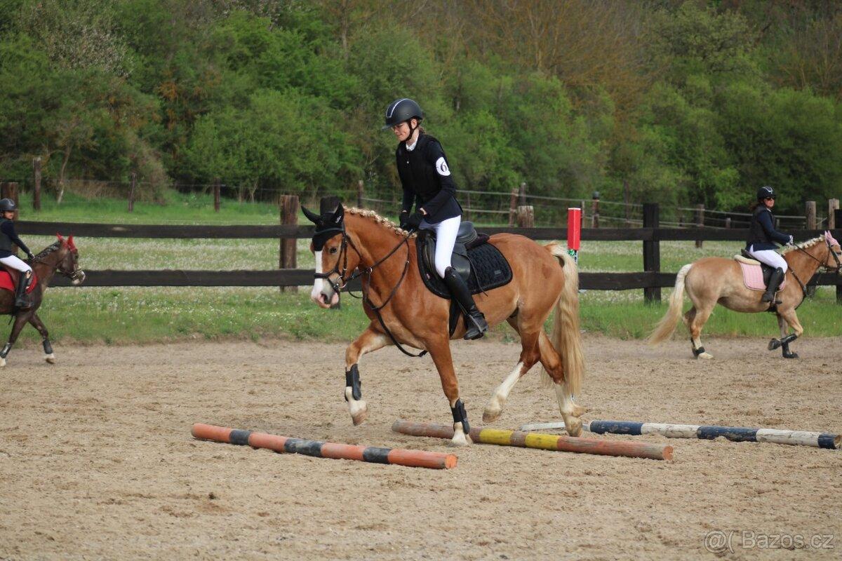 Sportovní pony B