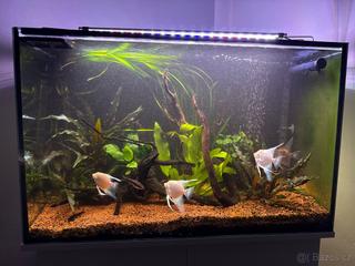 ❗️AQUARIUM 140L❗️