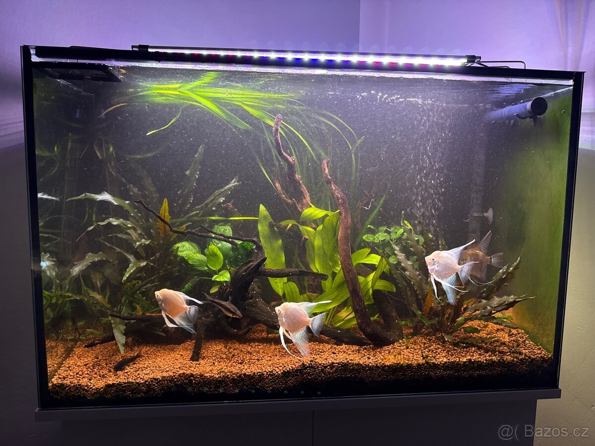 ❗️AQUARIUM 140L❗️