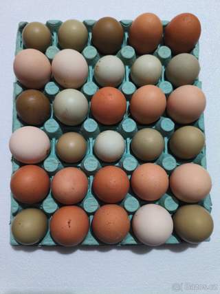 Domácí vejce 🥚