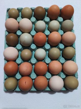 Domácí vejce 🥚