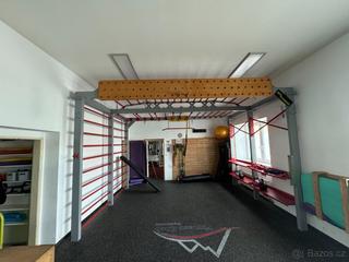 TRX® STUDIO LINE - Bridge konstrukce -sportov