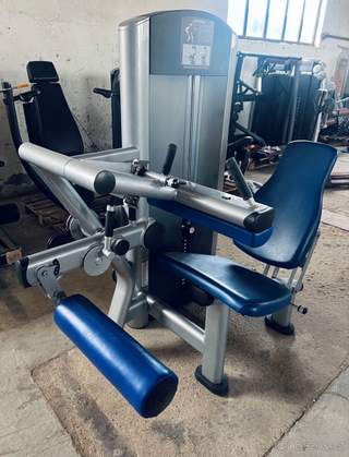 Leg Curl - Zakopávaní v sede - Life Fitness - Signature