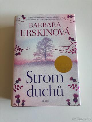 Strom duchů - Barbara Erskine