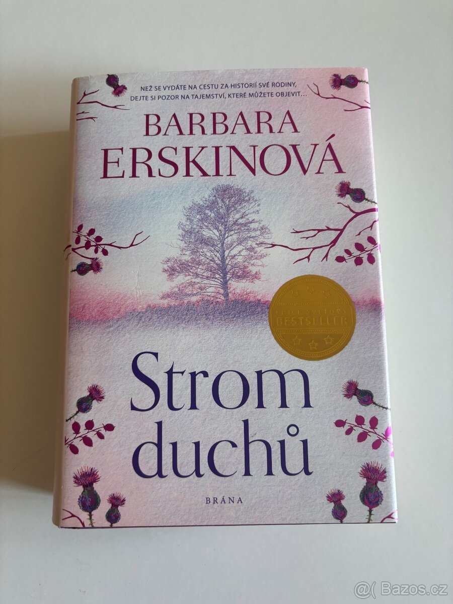Strom duchů - Barbara Erskine