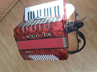 harmonika junior