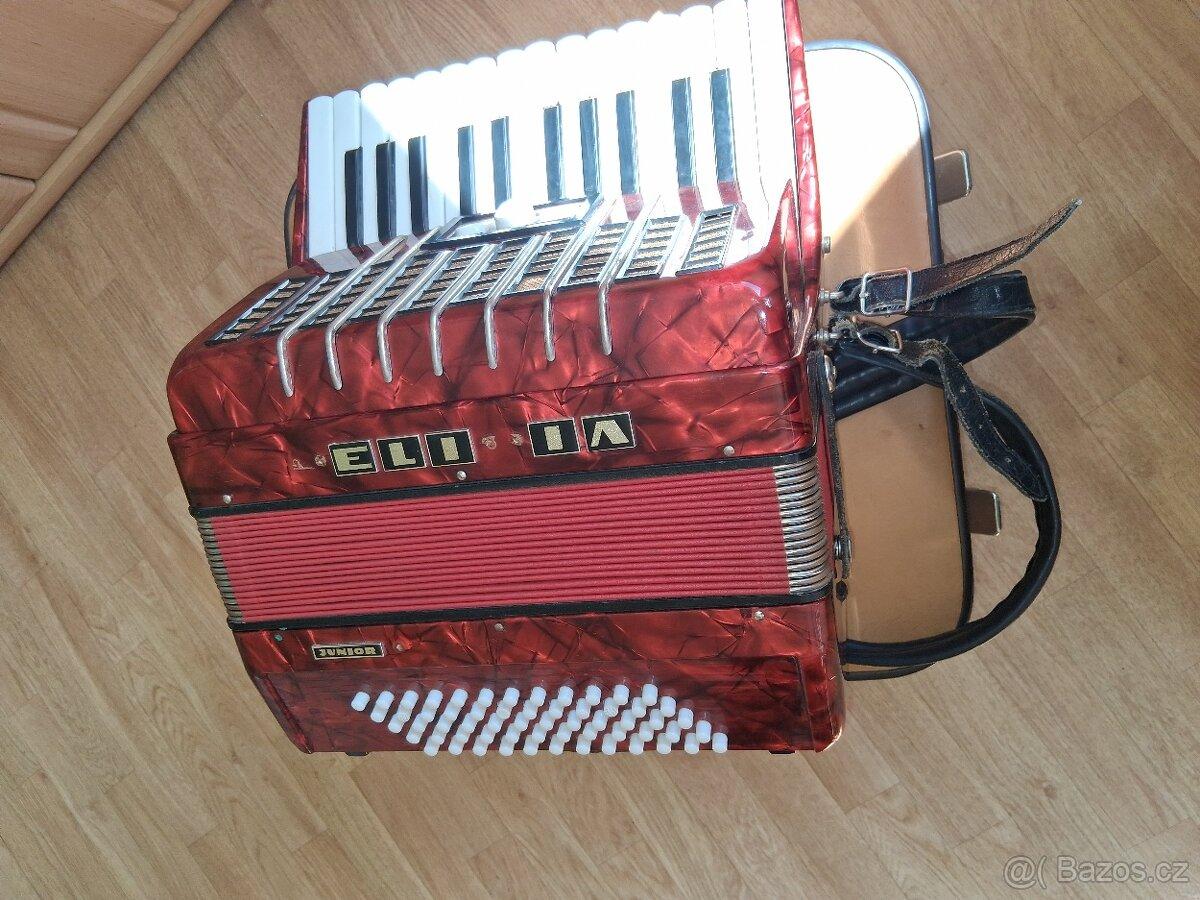 harmonika junior