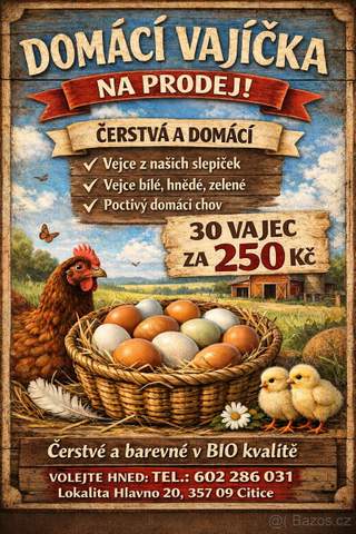 Domácí vejce