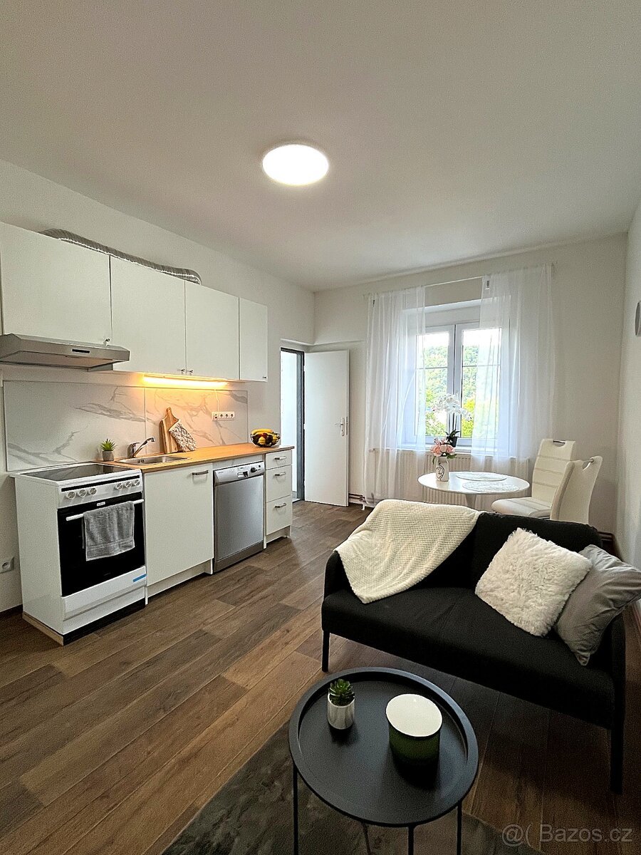 Kompletně zrekonstruovaný byt 2+kk, 48 m² – Ústí (Střekov)