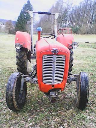 Messy Ferguson 35