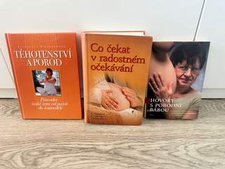 Knihy o těhotenství, porodu a mateřství – 3 ks