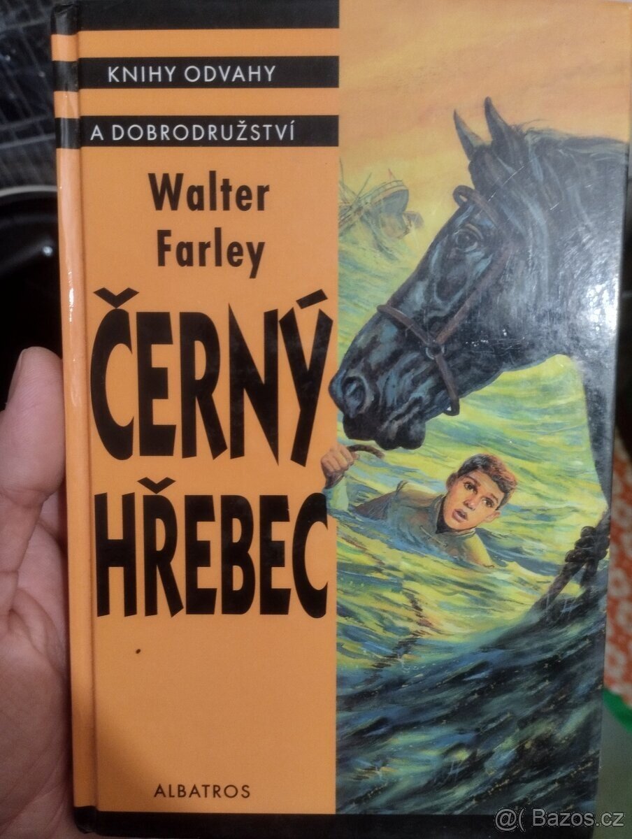 Černý hřebec