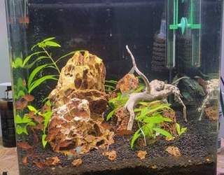 Akvárium Dennerle NanoCube 60 l + příslušenství