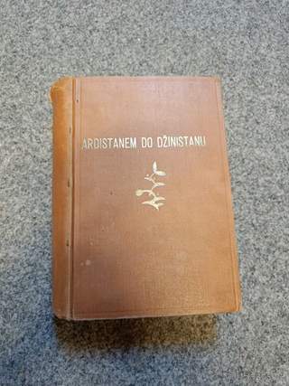Ardistanem do Džinistanu - Karel May