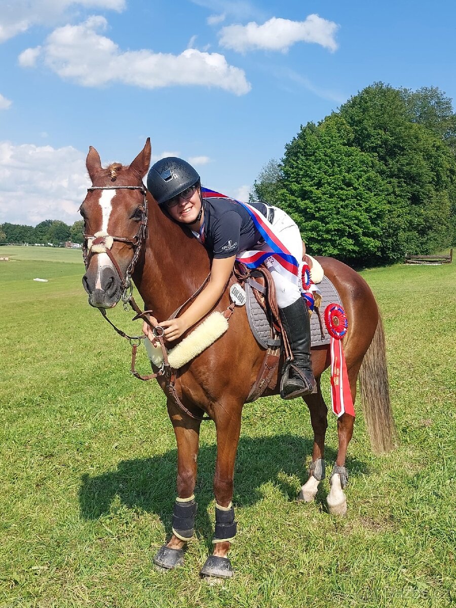 Pony klisna do sportu