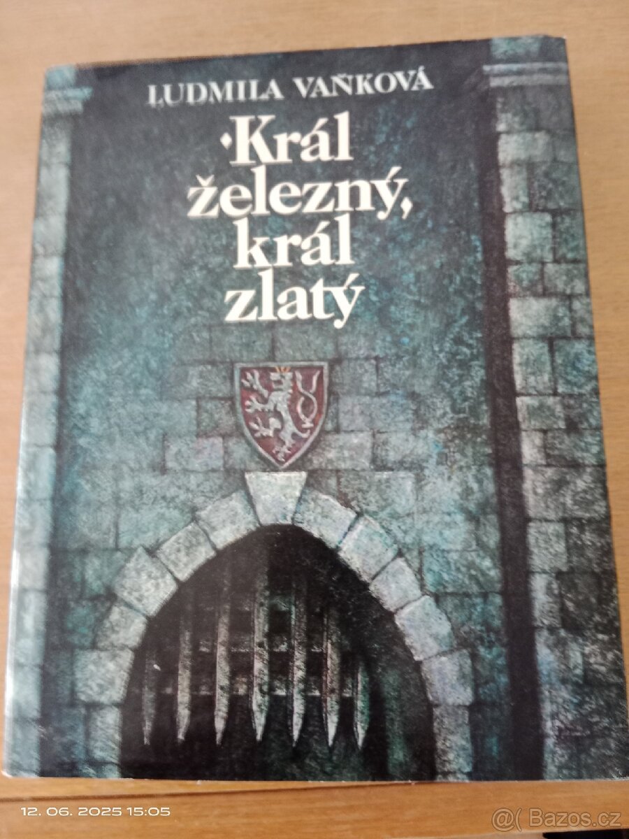 Král železný, král zlatý - Ludmila Vaňková