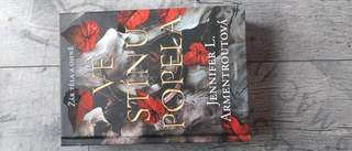 Ve Stínu Popela od Jennifer L. Armentroutové