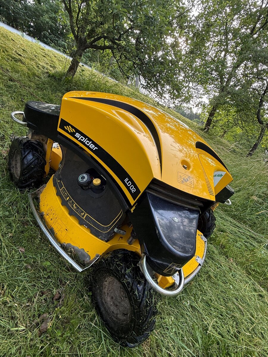 Spider ILD 02