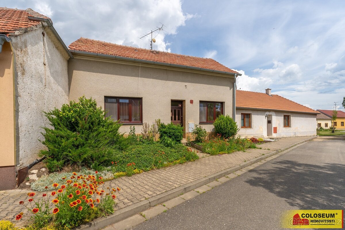 Hrušovany nad Jevišovkou, RD 4+1, k rekonstrukci, zahrada -
