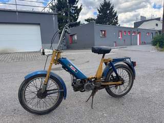 BABETA 207