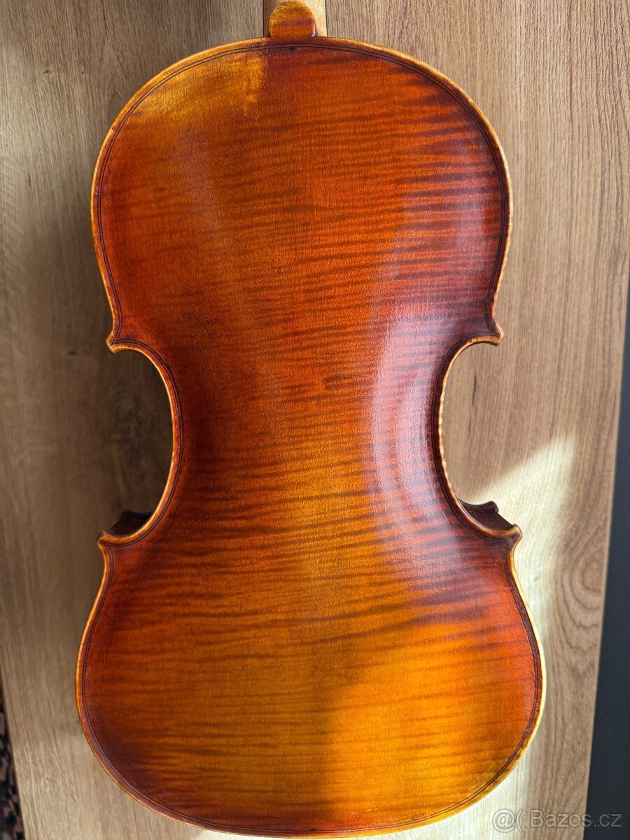 Malá violka