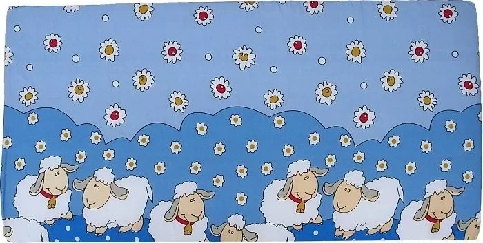 Poptávám molitanovou matraci 12060 cm