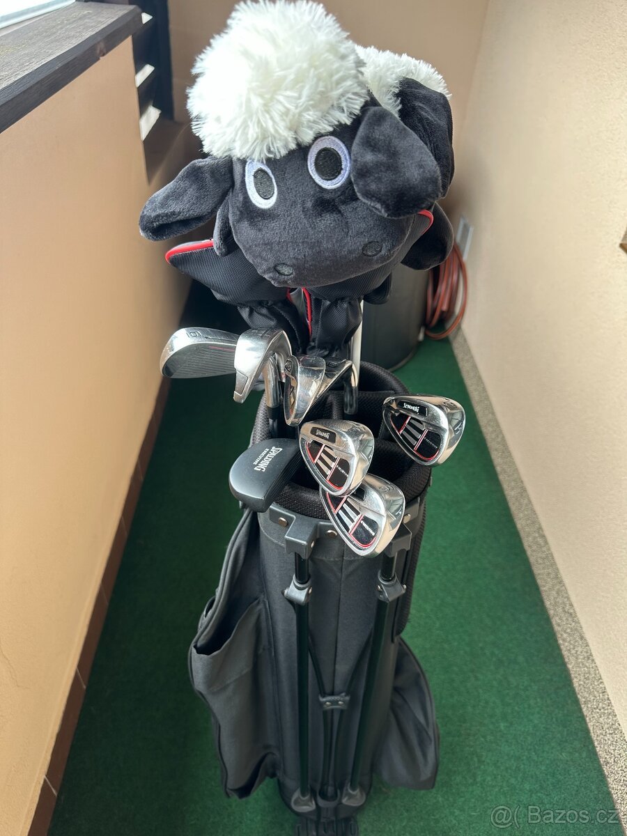 Golfový set pro LEVÁKY (LH) ocel