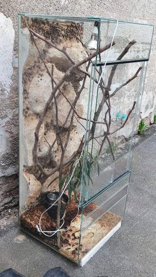 Terárium