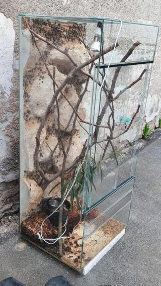 Terárium