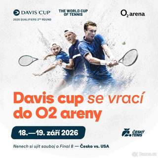 DAVIS CUP, klubové VIP