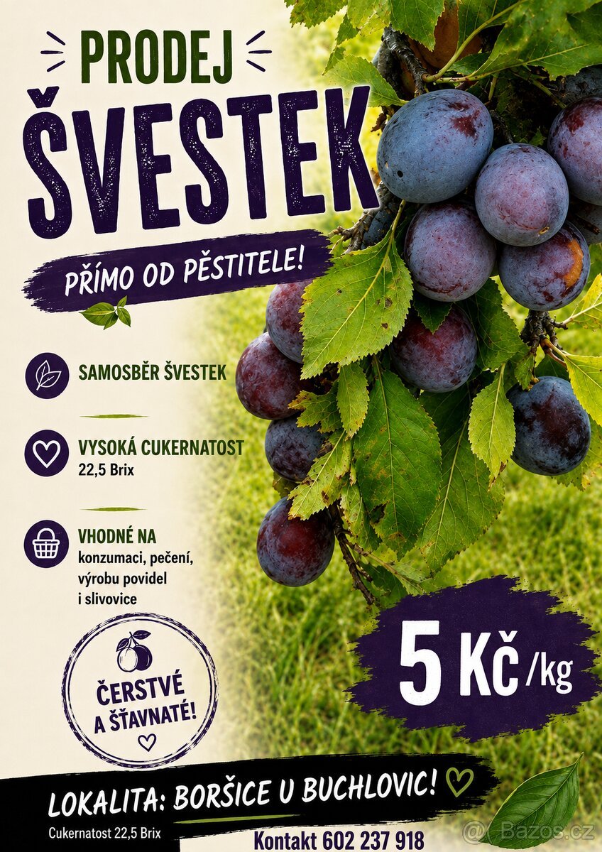 Samosběr švestek