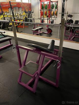Šikmý bench press