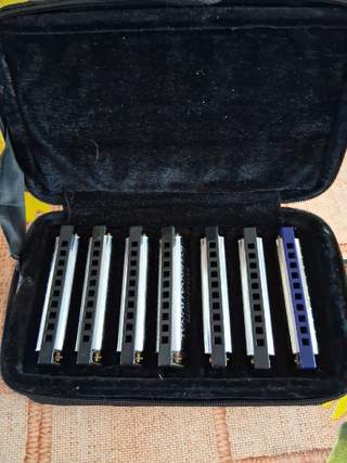 Hohner Blues Harmonica set