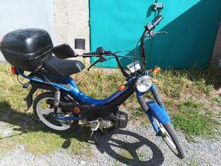 Manet Korado super maxi