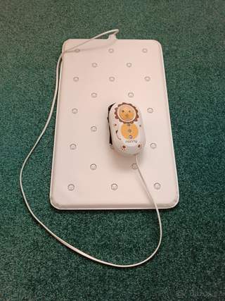 Monitor dechu Nanny