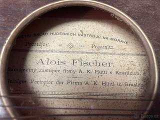 Citera Alios Fischer