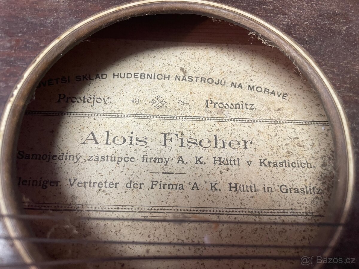 Citera Alios Fischer